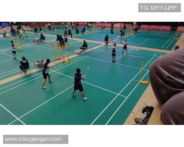 西安羽毛球队在邀请赛中的战术分析与表现评估