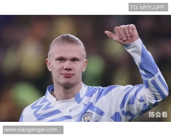 布欧足球明星的魅力与传奇：从绿茵场到万众瞩目的偶像之路